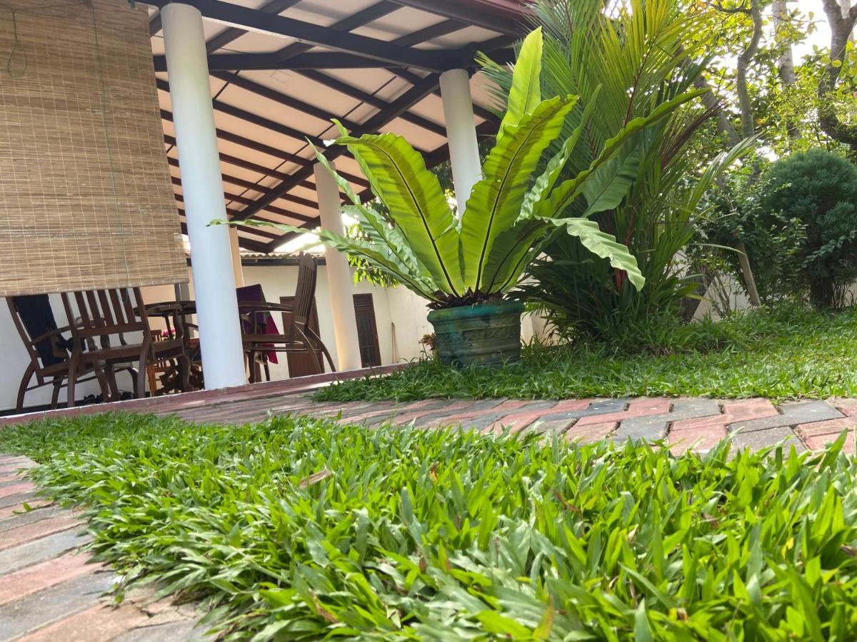 Mirissa Gold Rush Villa Exterior foto